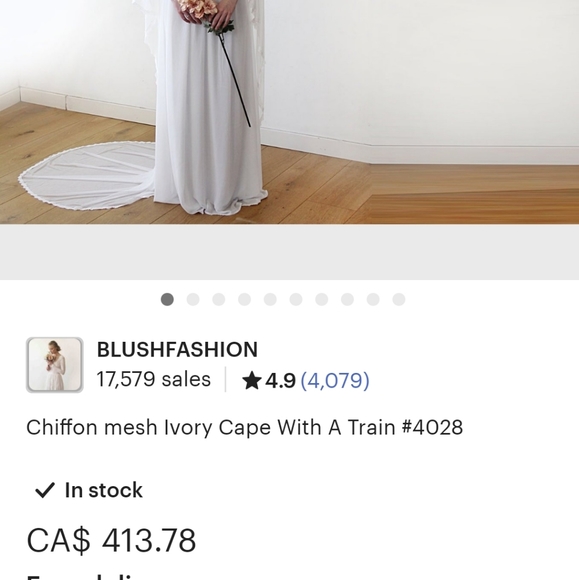 Chiffon Mesh Ivory Wedding Veil Cape with train - Picture 5 of 16